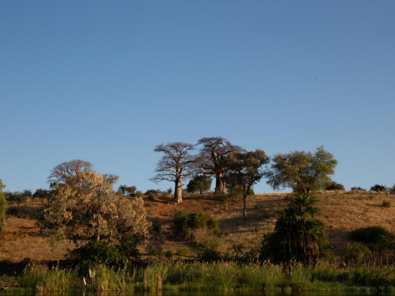 Kayova River Lodge Ndiyona Esterno foto